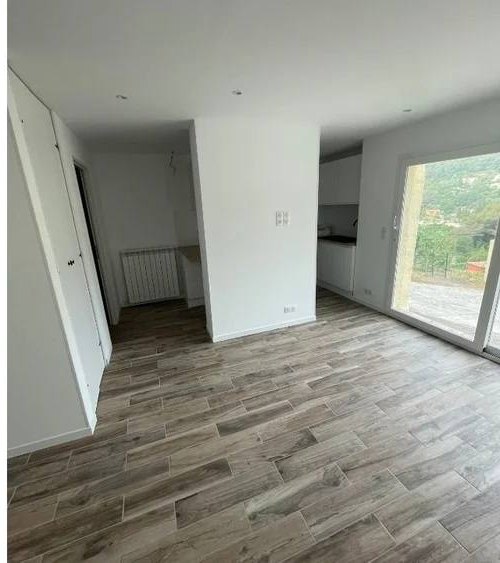 Entrance & window after